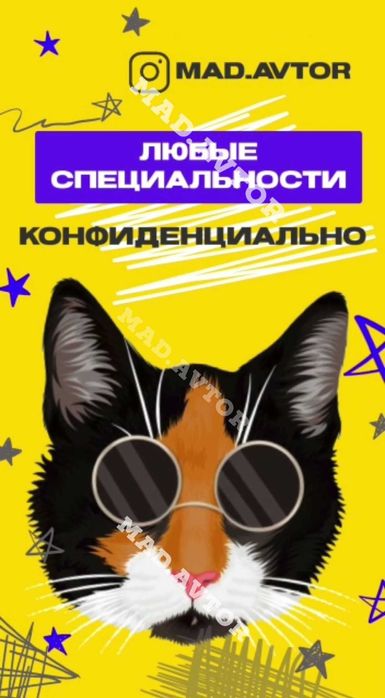 Дипломы, курсовые, практики, предметы