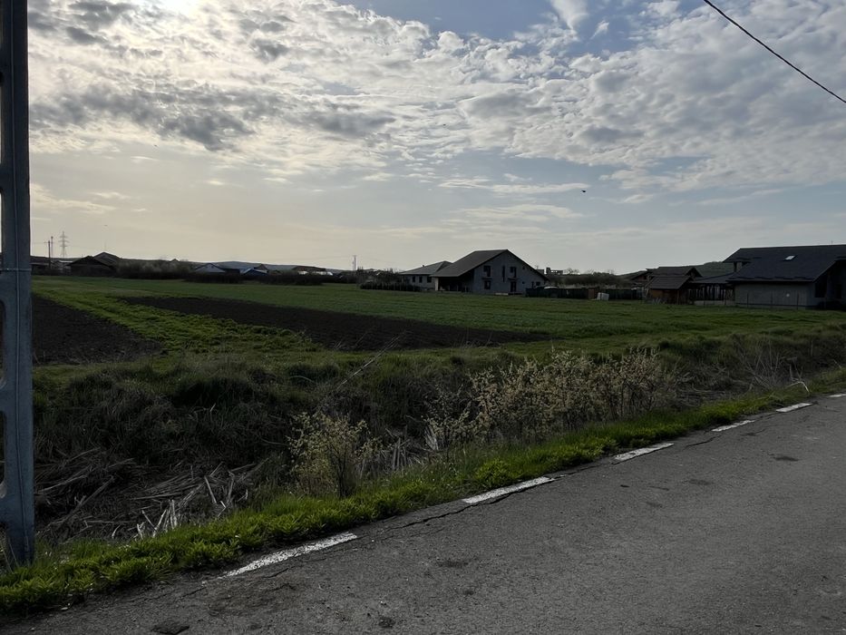 Vand teren intravilan in Criseni
