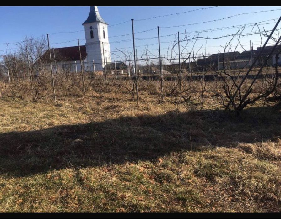 Casa/spatiu comercial