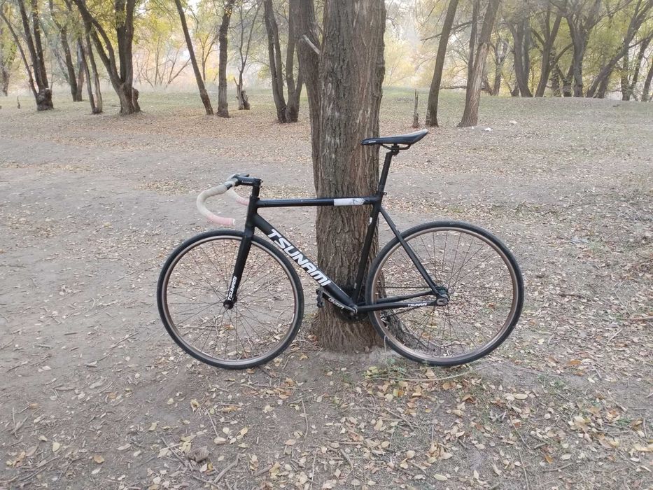 Фикс tsunami snm100