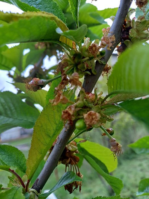 4 стаен самостоятелен апартамент в двуфамилна къща