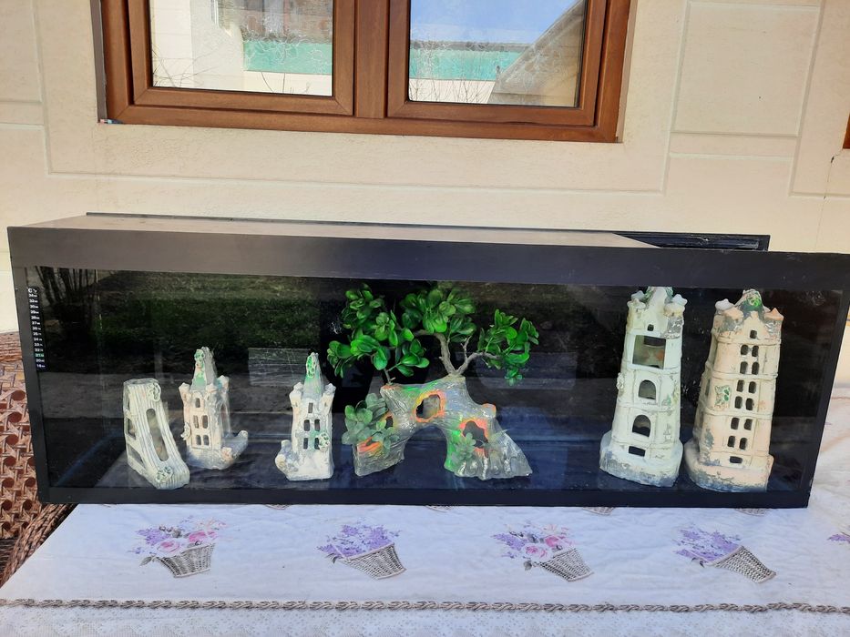 Akvarium baliqlari bilam