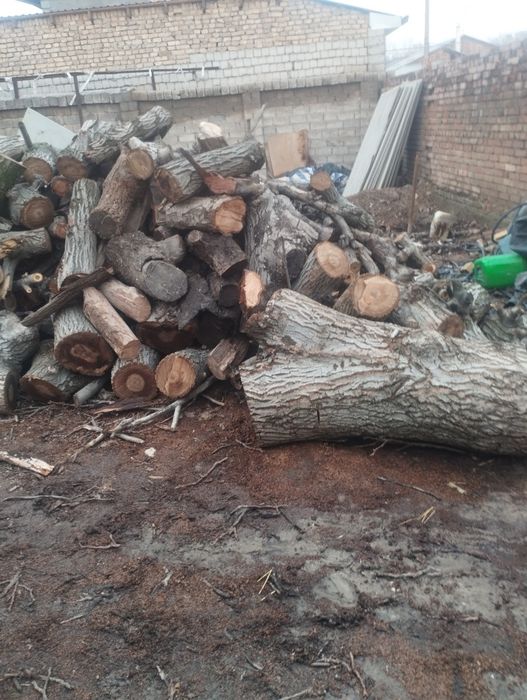 Утин сотилади Дрова продаётся