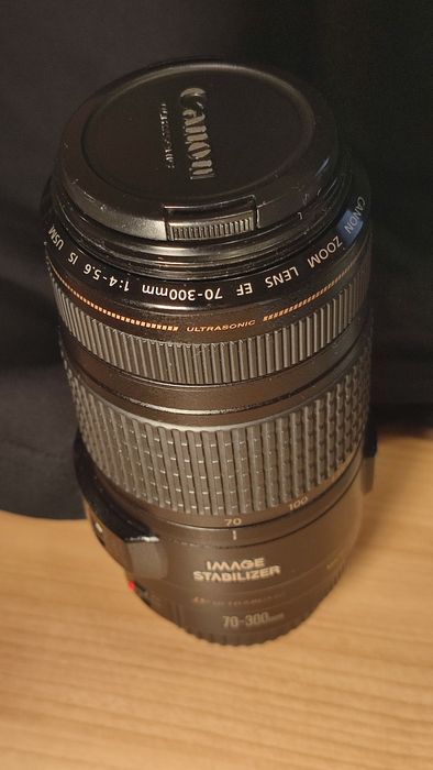 Canon EF 70-300mm f/4-5.6 IS USM
