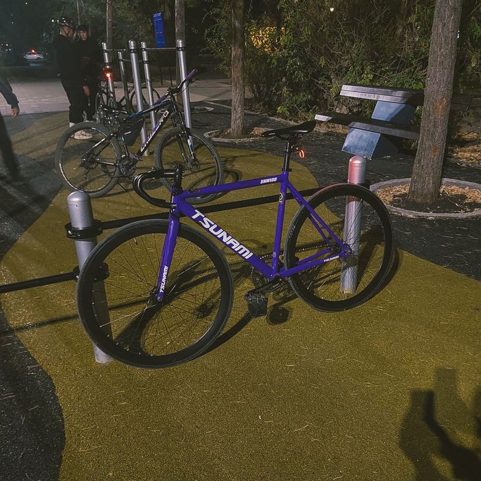 Фикс Tsunami SNM100