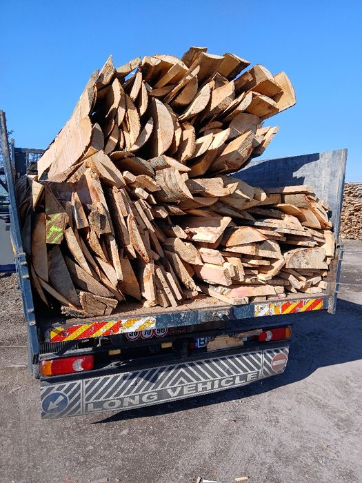 Lăturoaie de fag Brașov