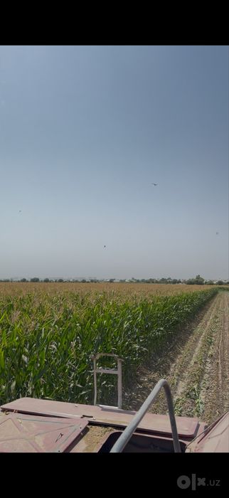 Makka silos donlari bilan