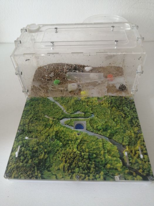 Продаётся формикарий