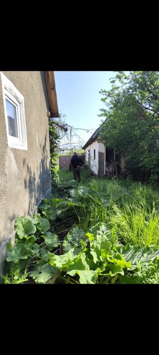 Vînd casă cu grădină !