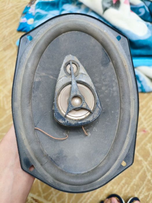 Динамики,калонки