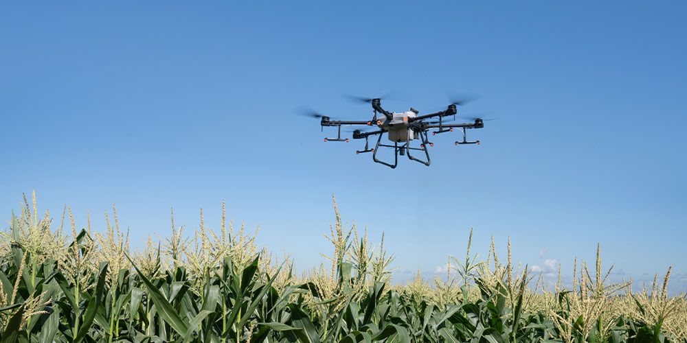Пръскане със земеделски дрон