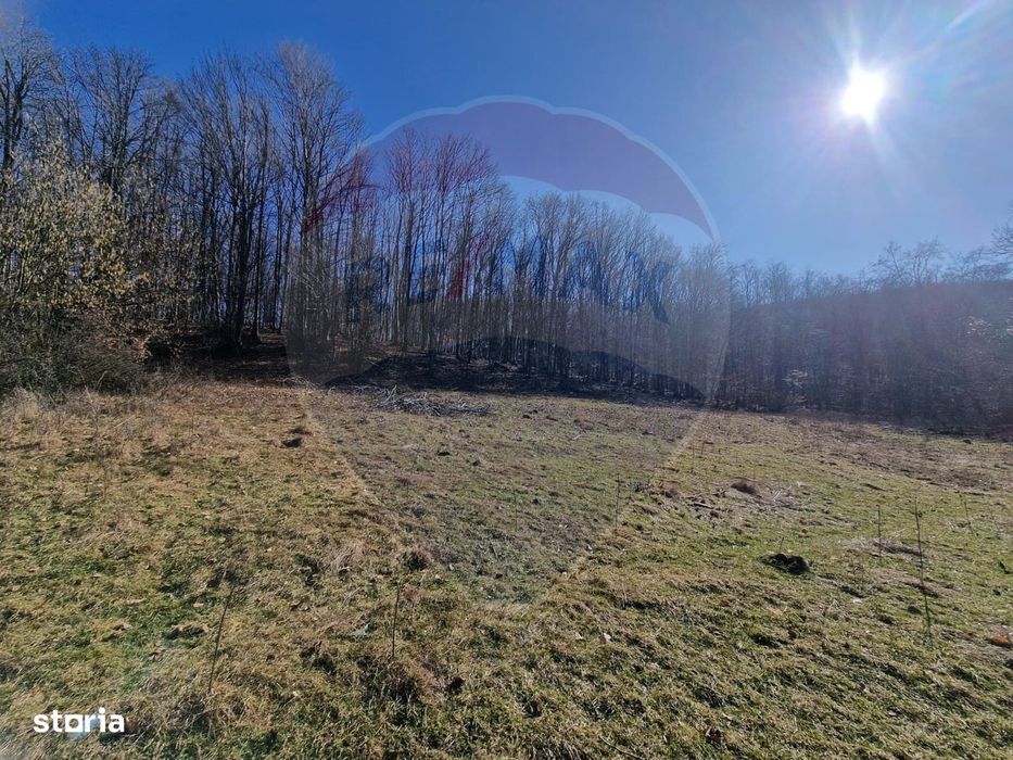 Teren de Vânzare în Pâncești (Sascut)