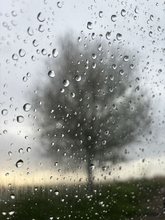 Фотограф любител