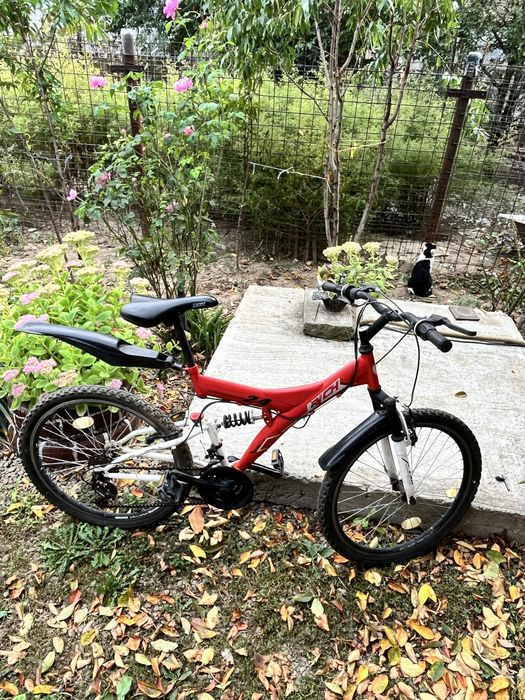 Bicicleta MTB 24" RICH R2448A, full suspension