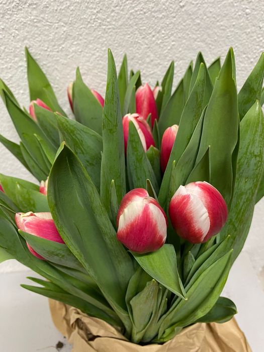 Тюльпаны на 8 марта