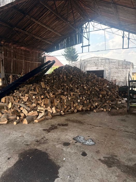 Lemn de foc esență tare – Bistrița și județul Bistrița-Năsăud
