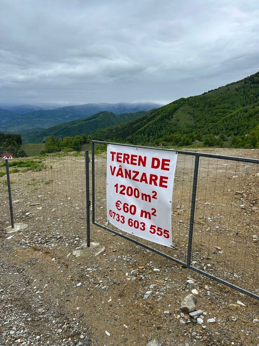 Teren de vanzare  zona Rusu