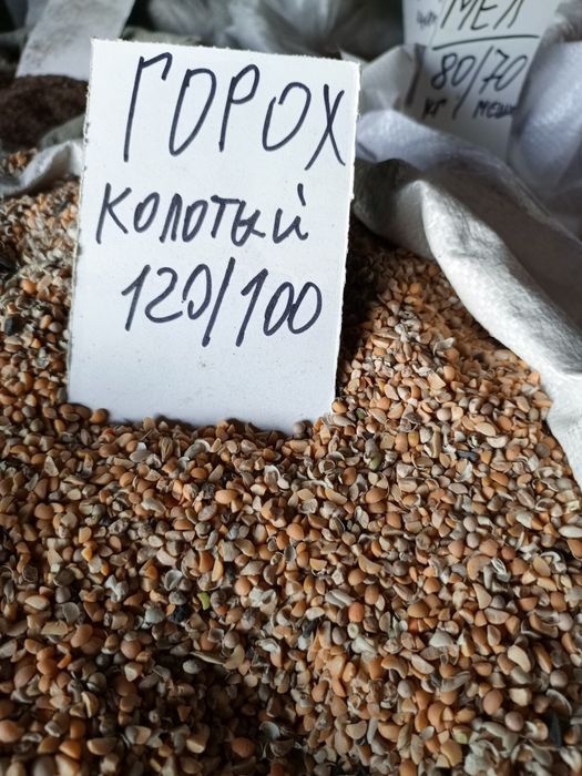 Корма для собак Костанай