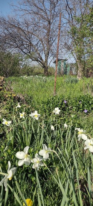 Продаётся  земельный участок