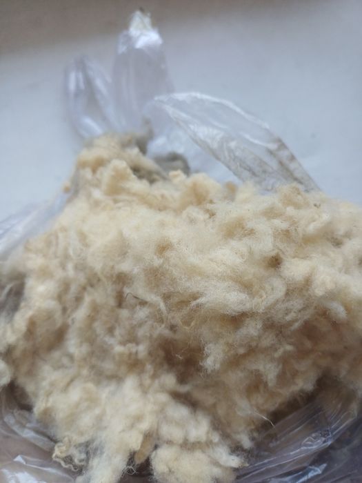 Продам шерсть барана