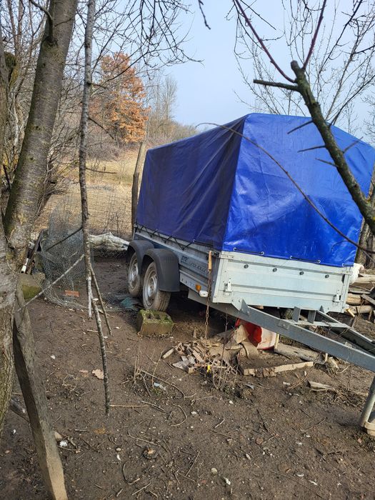 Remorca auto 750kg  2 axe