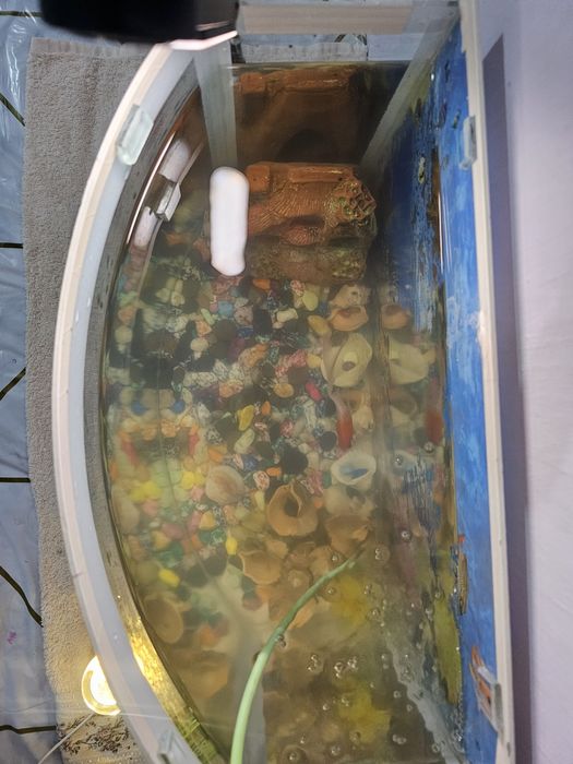 Аквариум для искусства