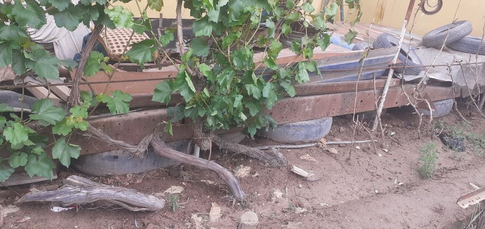 Маз самосвал ва ЗИЛ 131 рама сотилади