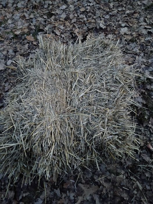 Baloți de paie de grau și fin