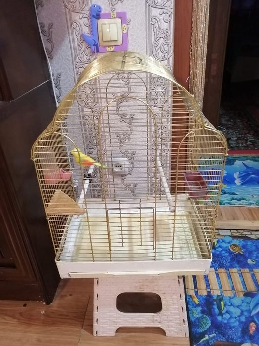 Продам Клетка для попугая.
