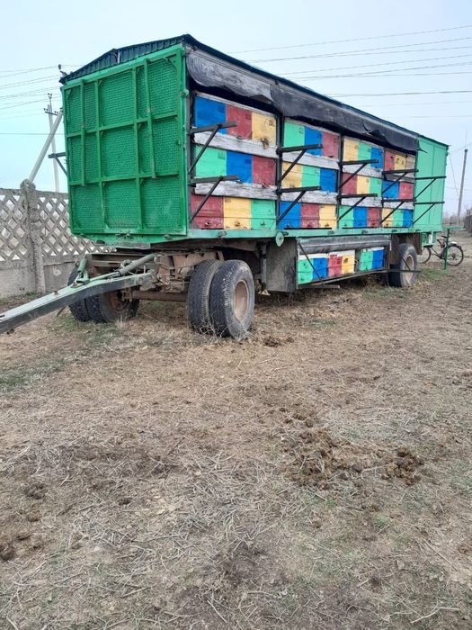 Прицеп для пчёл 82 семьи