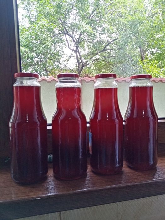 Sirop de mugur de brad la 1 litru