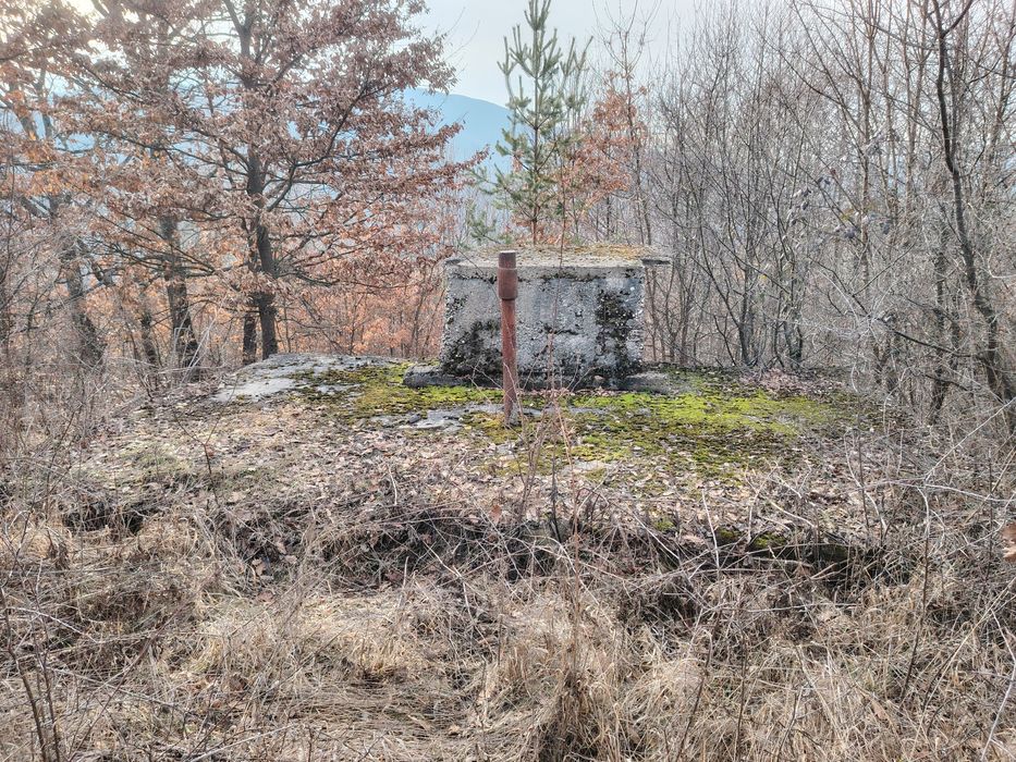 Продава се Парцел в с. Добърчин, Област София-област - 6500 кв.м за 10 €/кв.м - Снимка #4