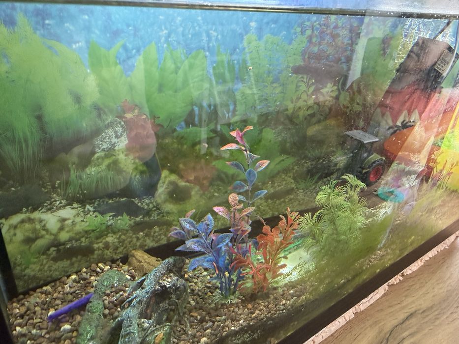 Аквариум 50 литров