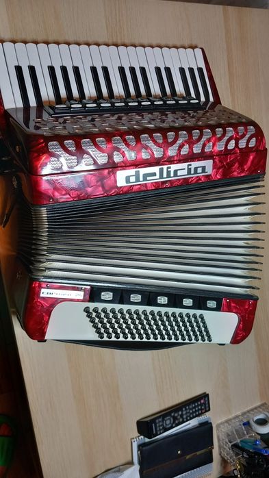 Acordeon DELICIA carmen 24 cu 96 basi