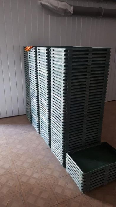 Гидропоника производство за день 500кг