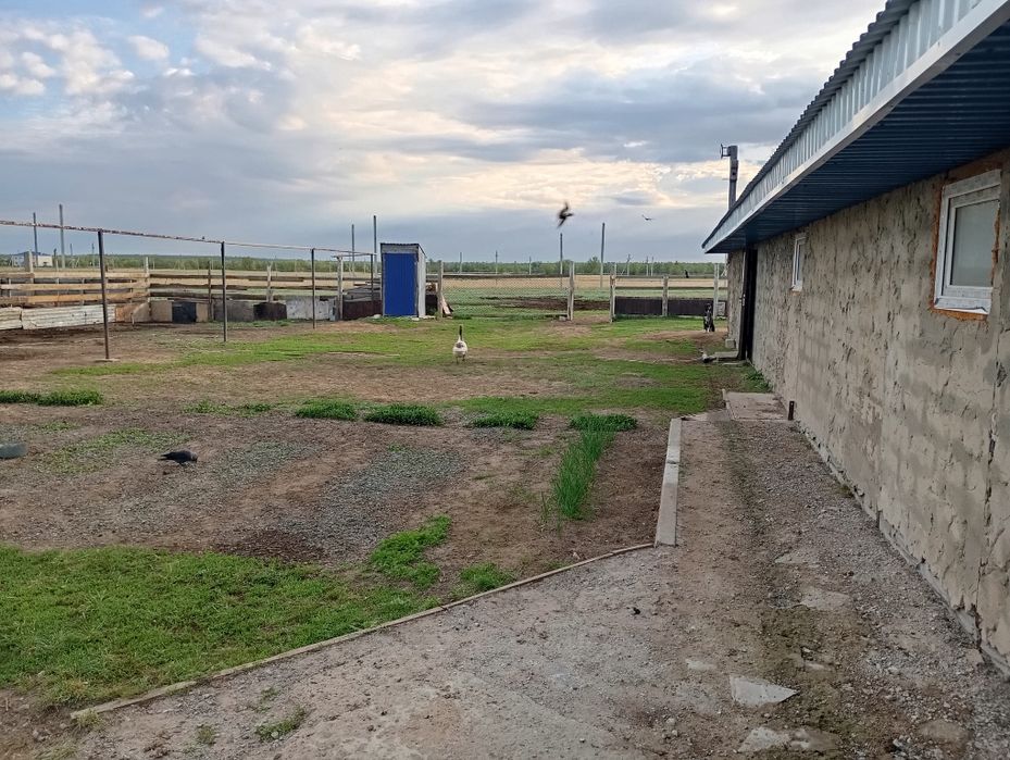 Продам дом с большим сараем срочно