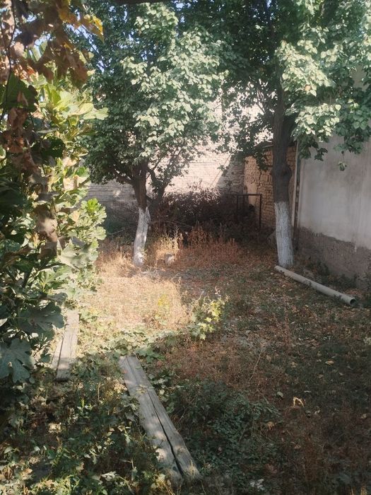 Arzon narxdagi uchastka