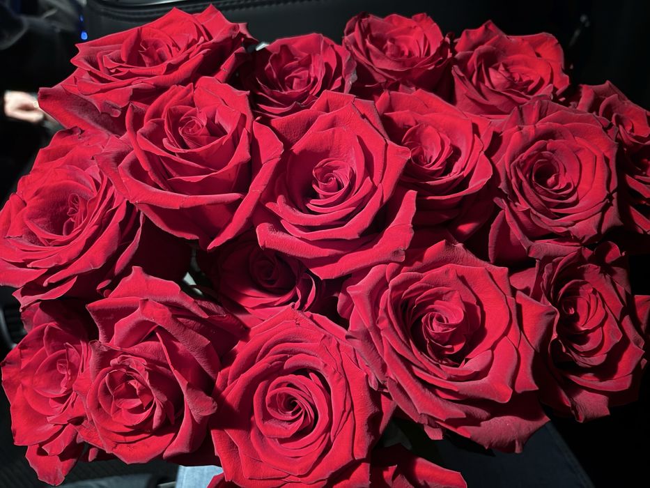 Продам свежие  красные розы