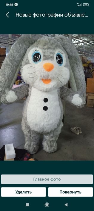 Ведущая на  корпоратив