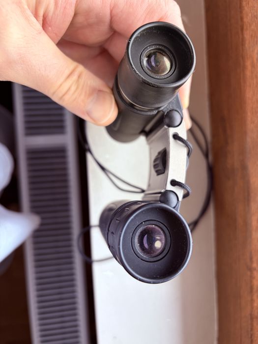 Binoclu Minolta Pocket II 8x22