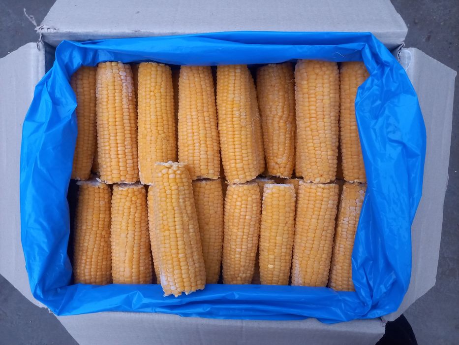 Сладкая кукуруза