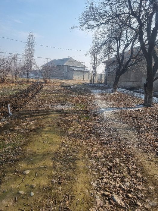 1300$ dan 10sotix chek