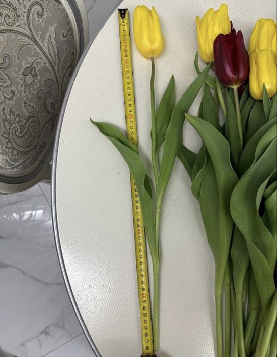 Тюльпаны оптом и в розницу