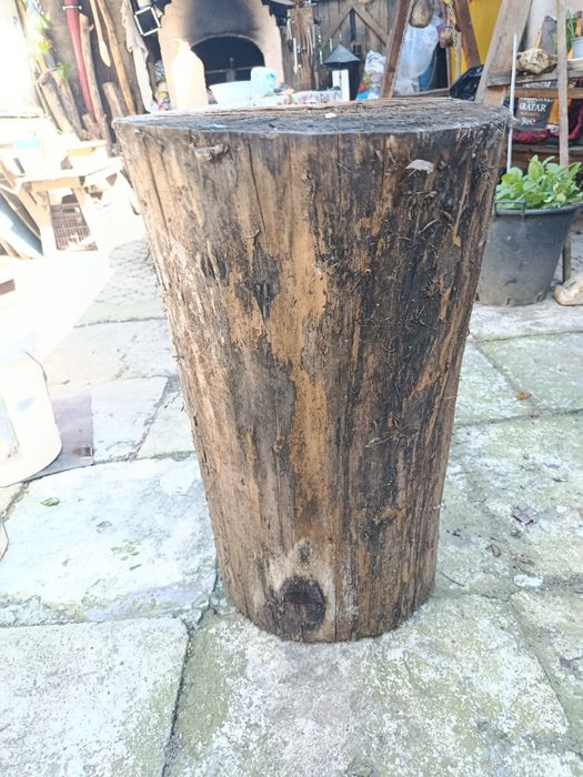 Vând trunchi de copac nuc crcuferinta120 lu 70 cm grosime 40 cm