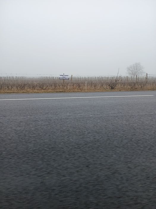 Vând teren la șoseaua națională E85 Dumbrăveni