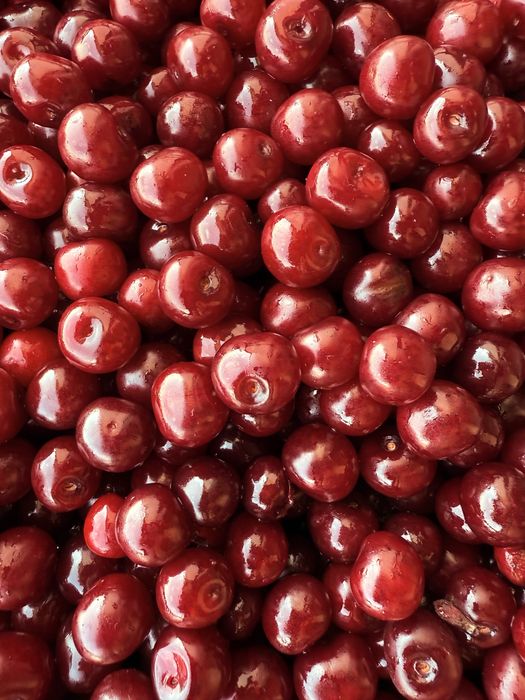 Вишня olcha (qora gilos)