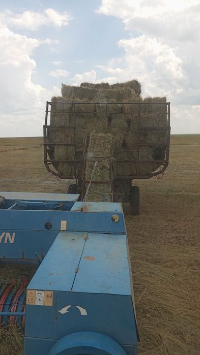 Тюковы пресс класс