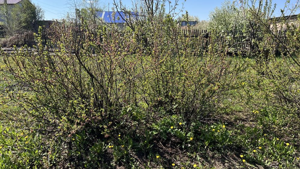 Продам дачу по красноярской трассе