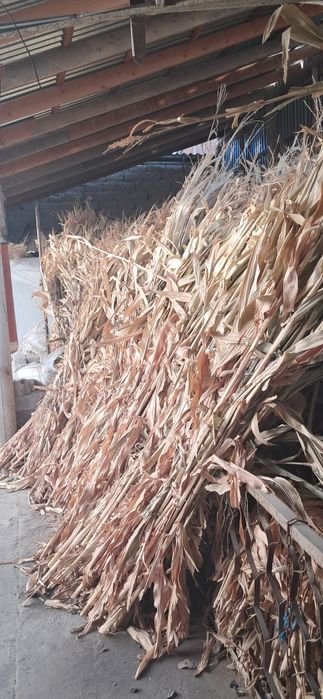 ,йемиш макайи сотилади