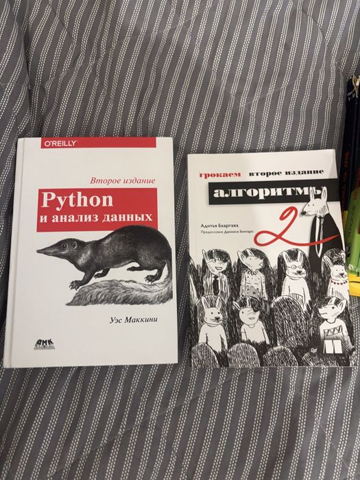 Книги по Python и алгоритмам — 2 книги